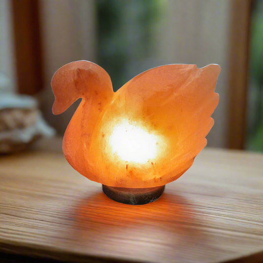 swan shaped himalayan salt lamp