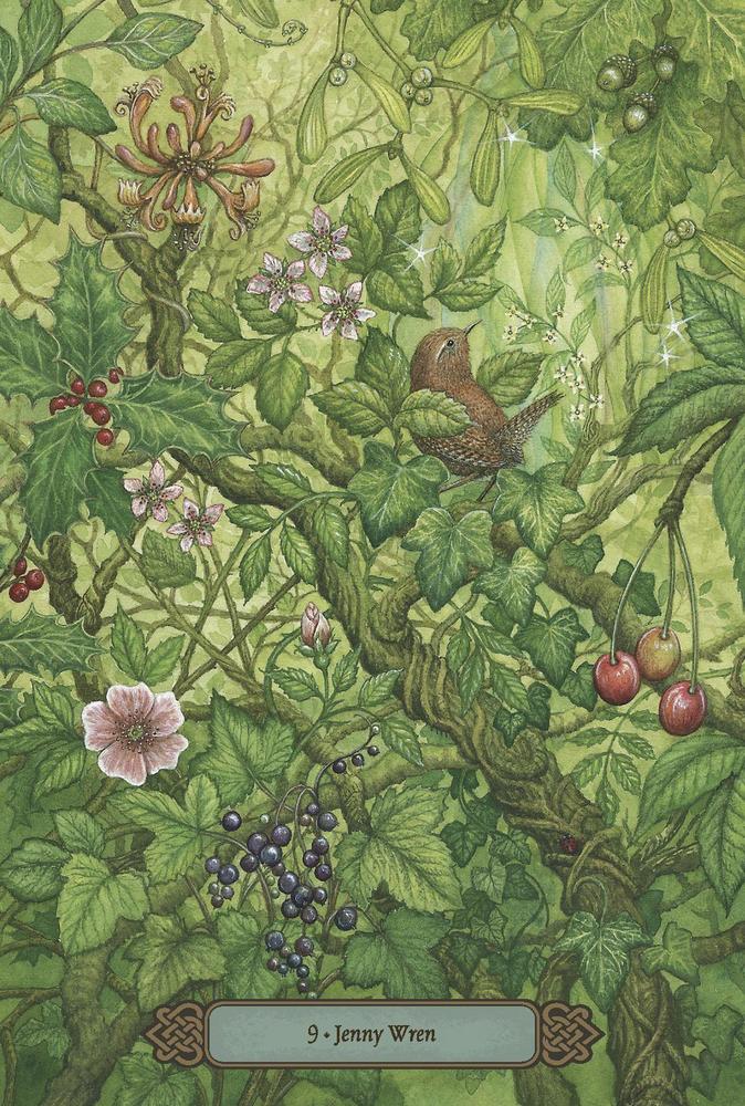 Forest of Enchantment Oracle