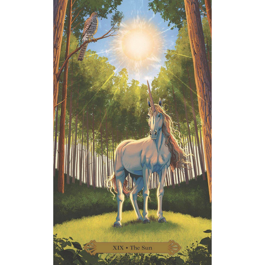 the sun card