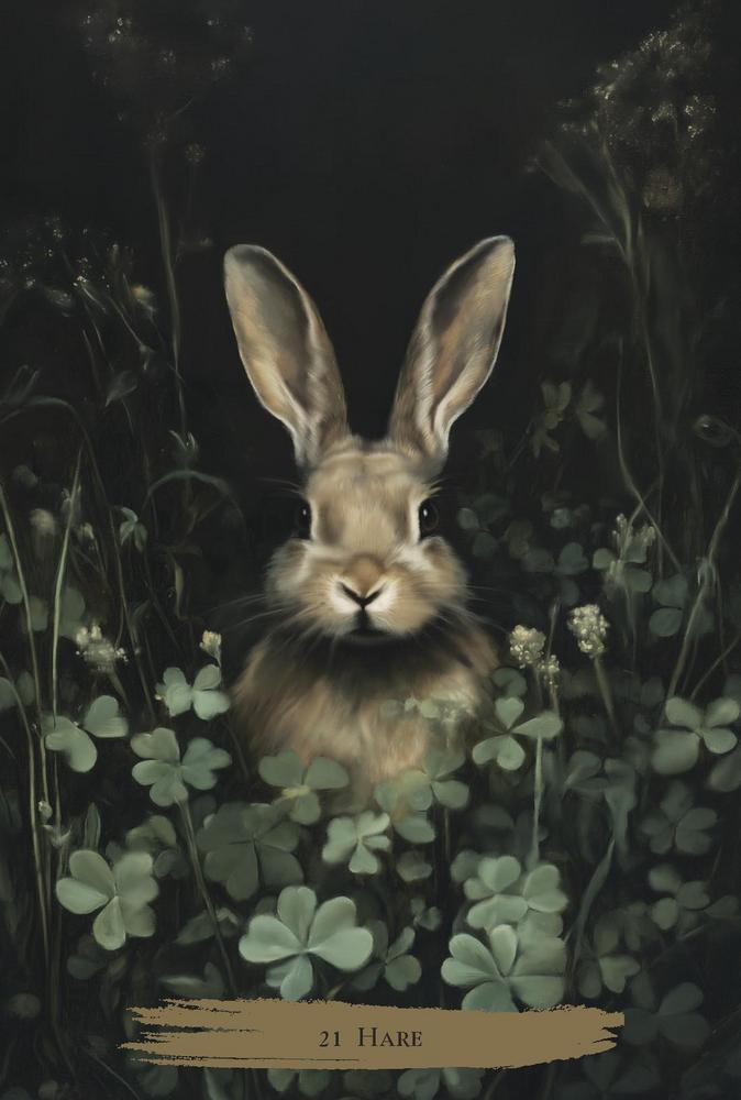 hare card