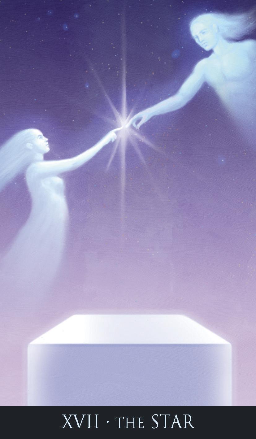 star card
