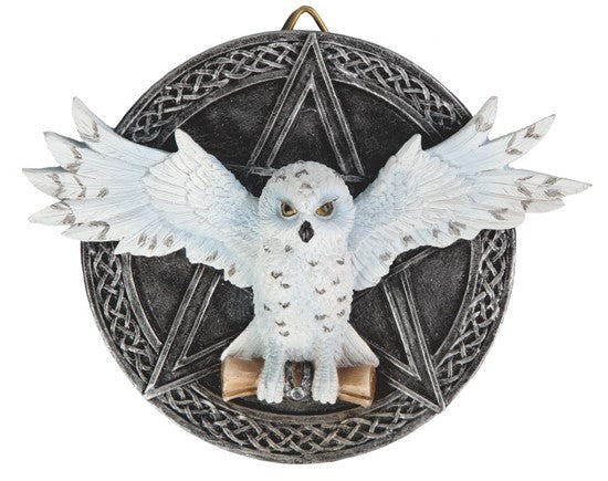 Snow Owl on Pentagram Wall Hanging