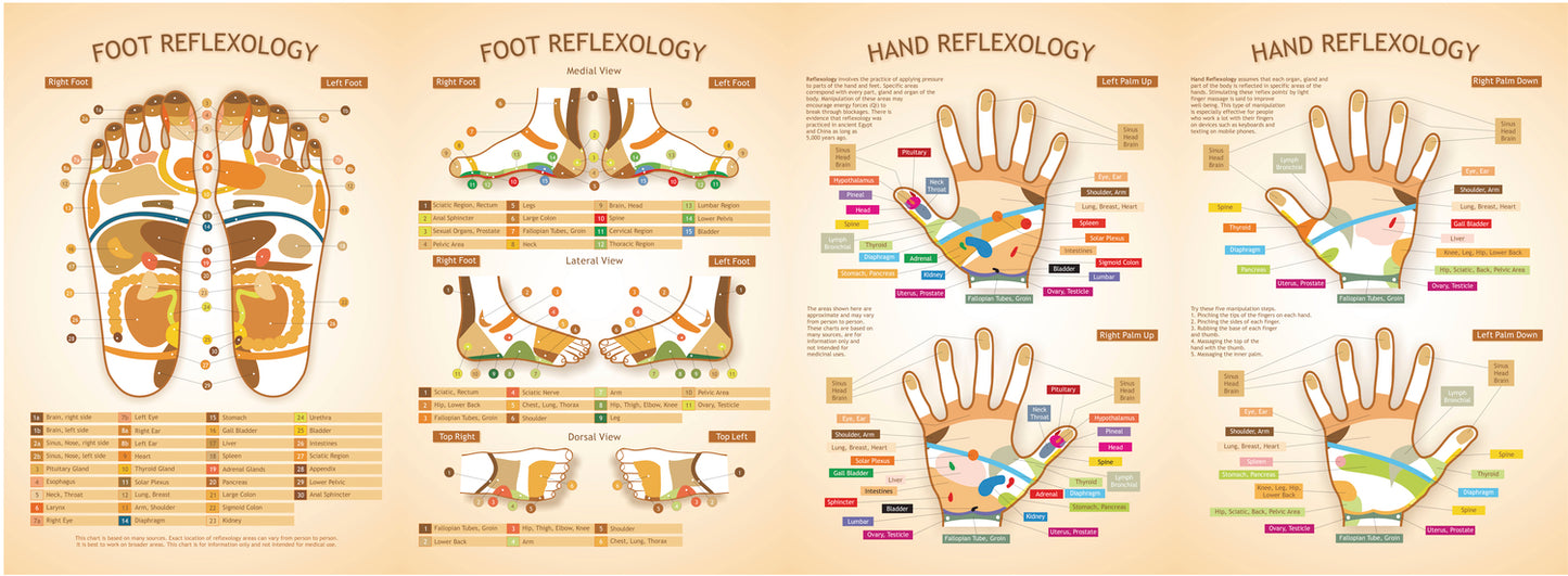 Reflexology Guide