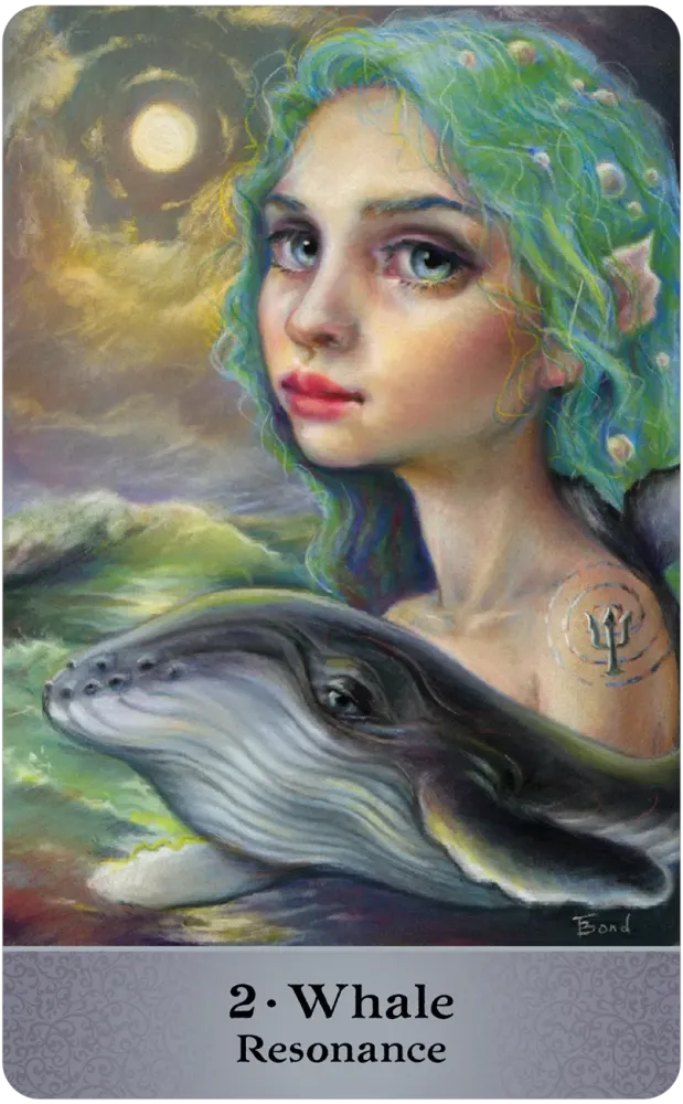 whale card