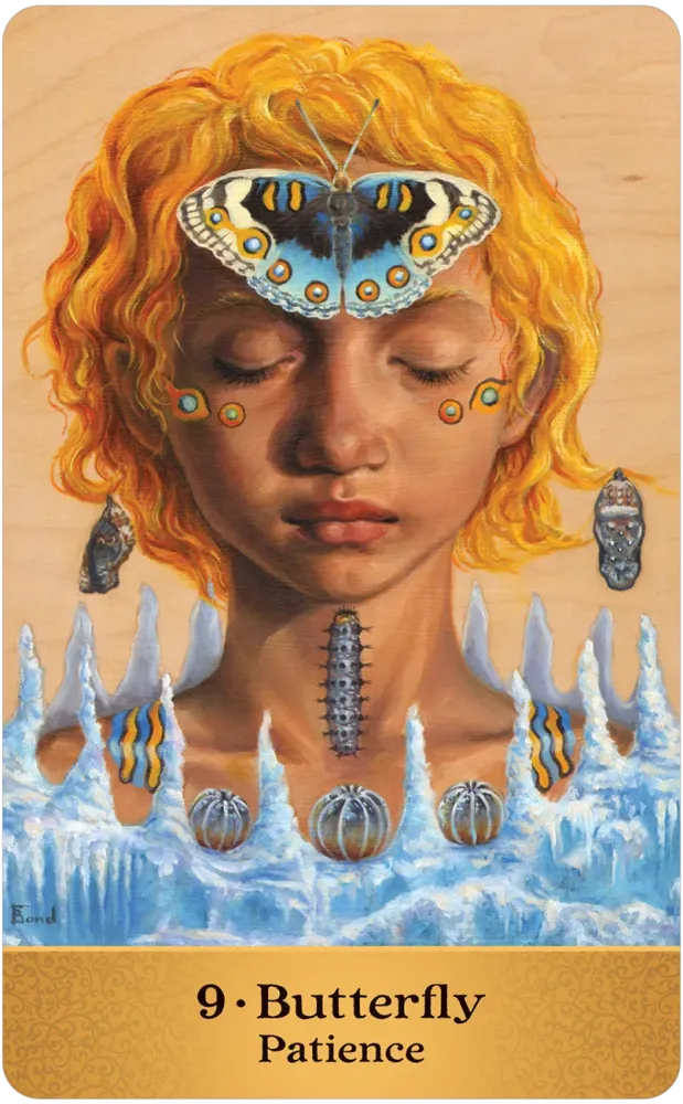 butterfly card