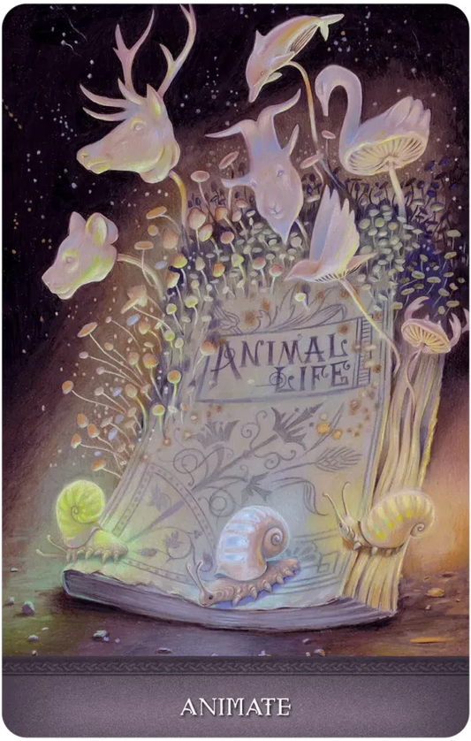 animate card