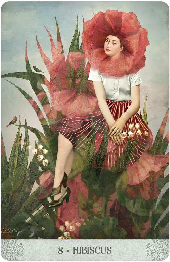 hibiscus card