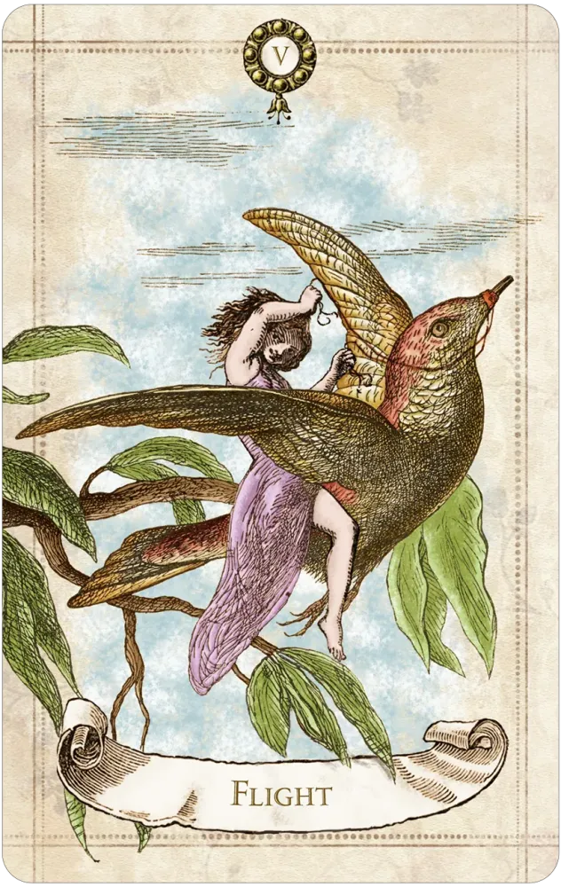 Flight card