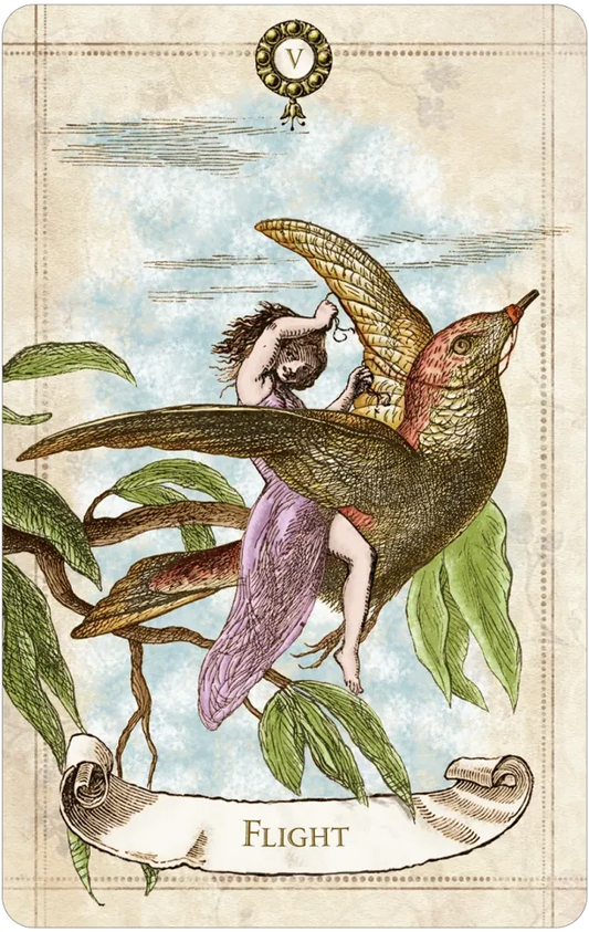 Flight card