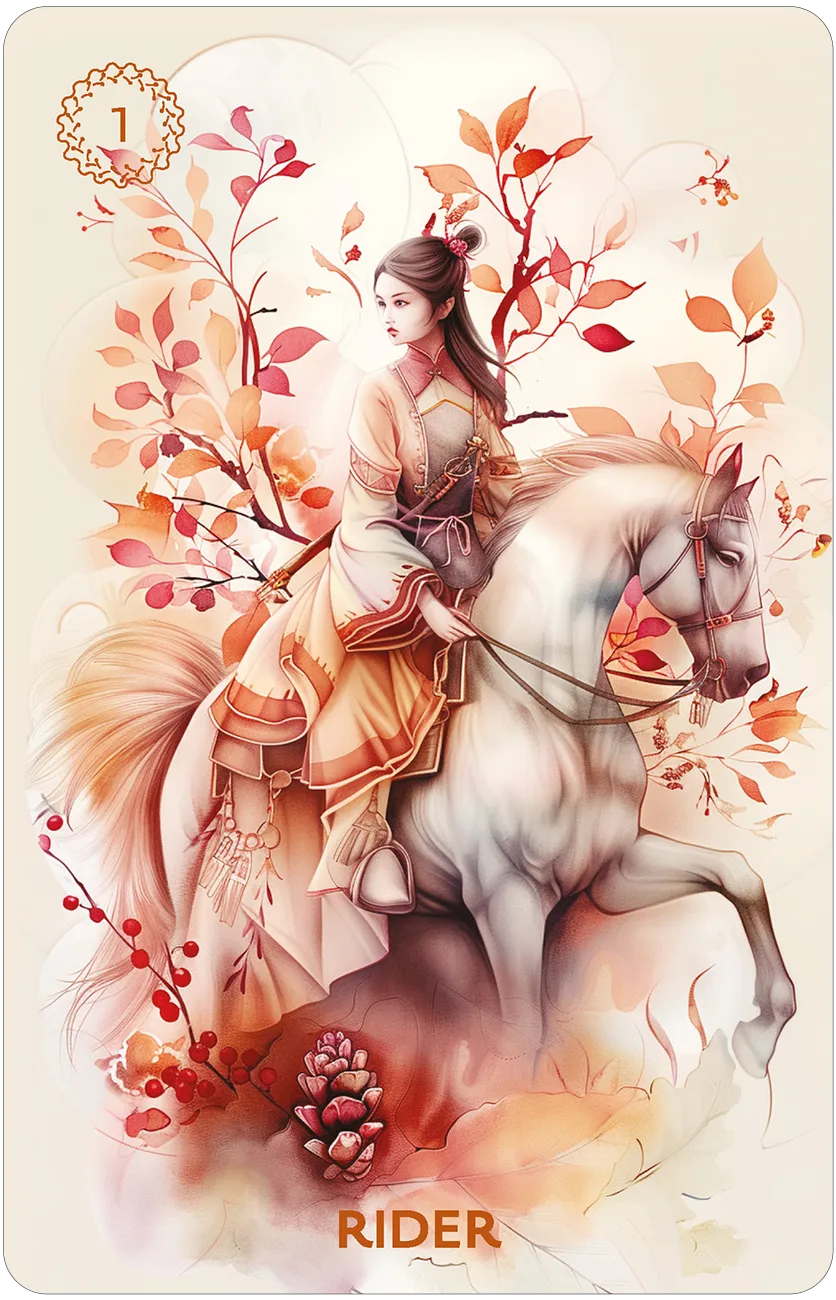 rider card