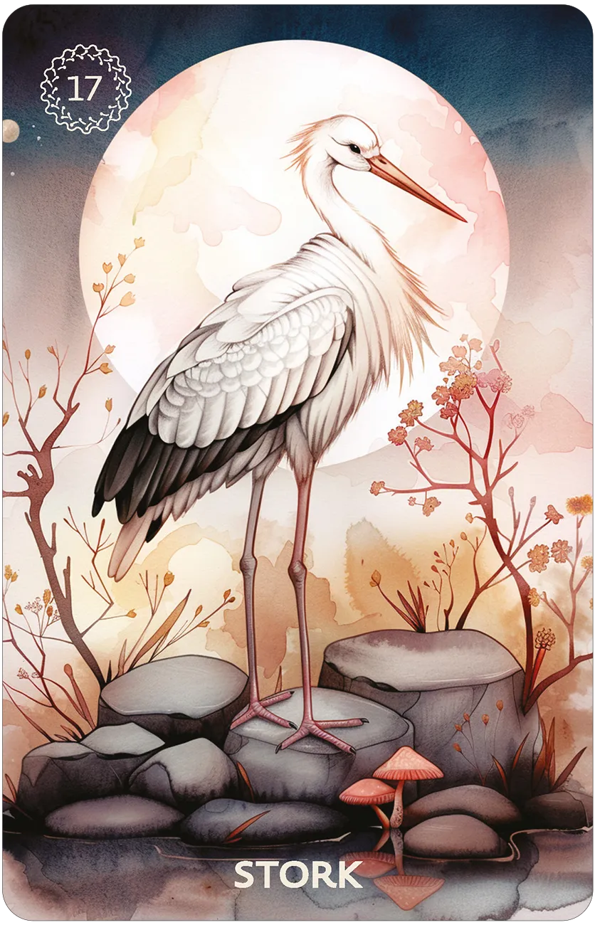 stork card