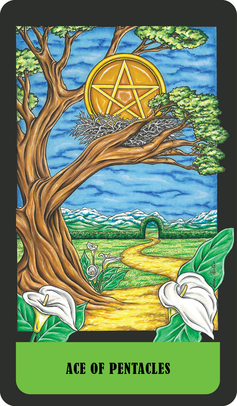 ace of pentacles card