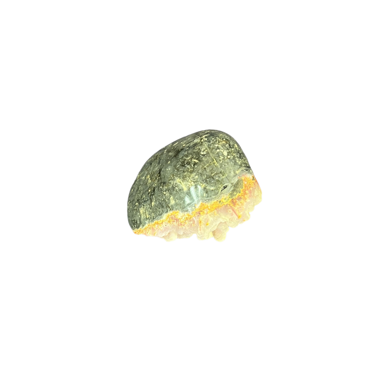 Bumblebee Jasper Freeform