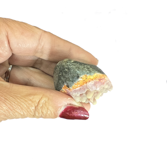 Bumblebee Jasper Freeform