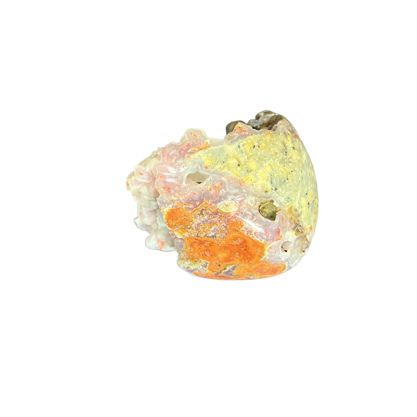 Bumblebee Jasper Freeform