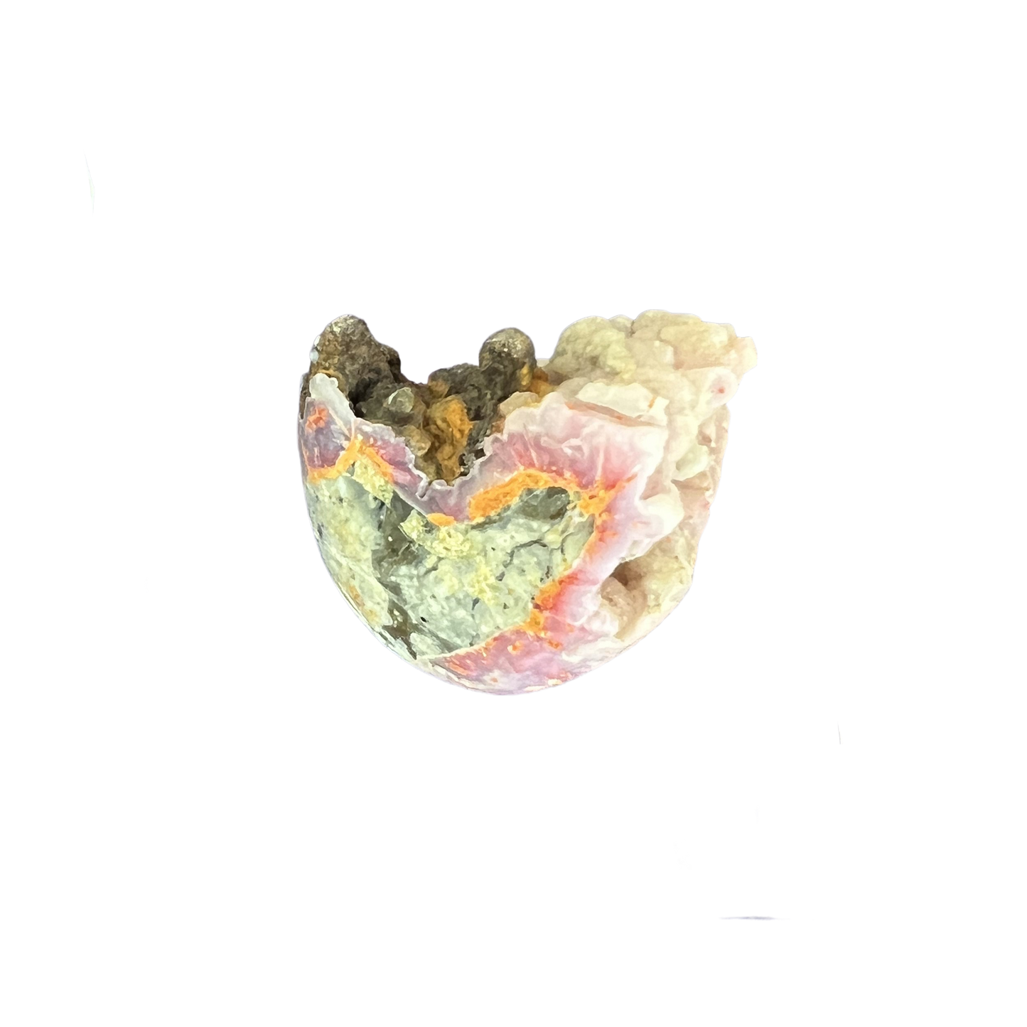 Bumblebee Jasper Freeform