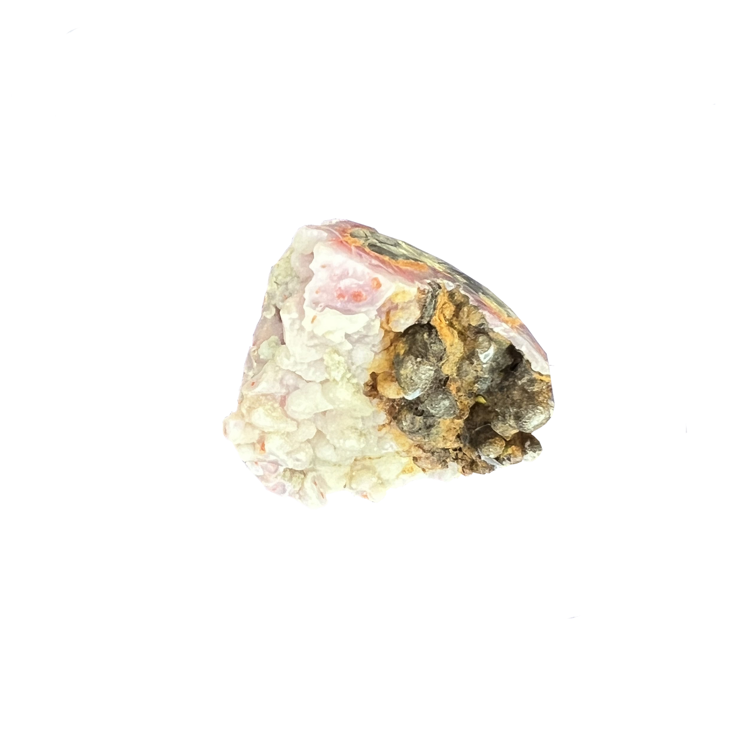 Bumblebee Jasper Freeform