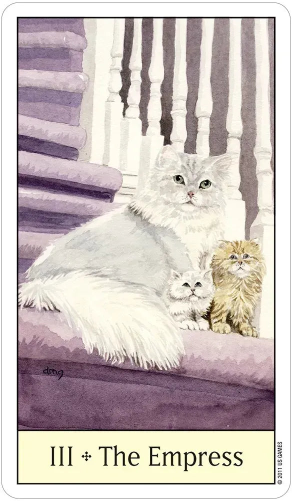 Card titled 'III + The Empress' featuring two cats on a couch with striped curtains in the background.