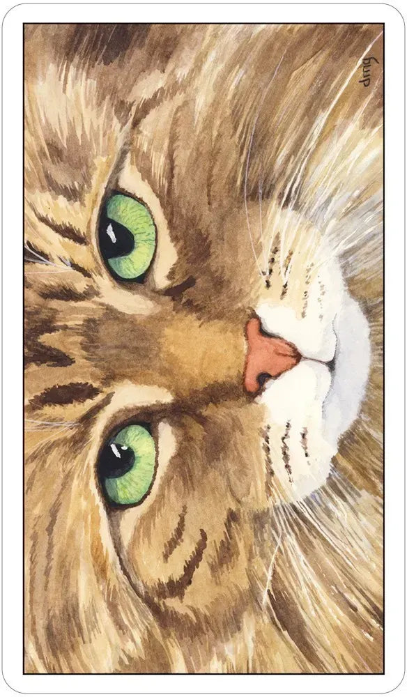 Close-up illustration of a cat's face with green eyes and a pink nose.