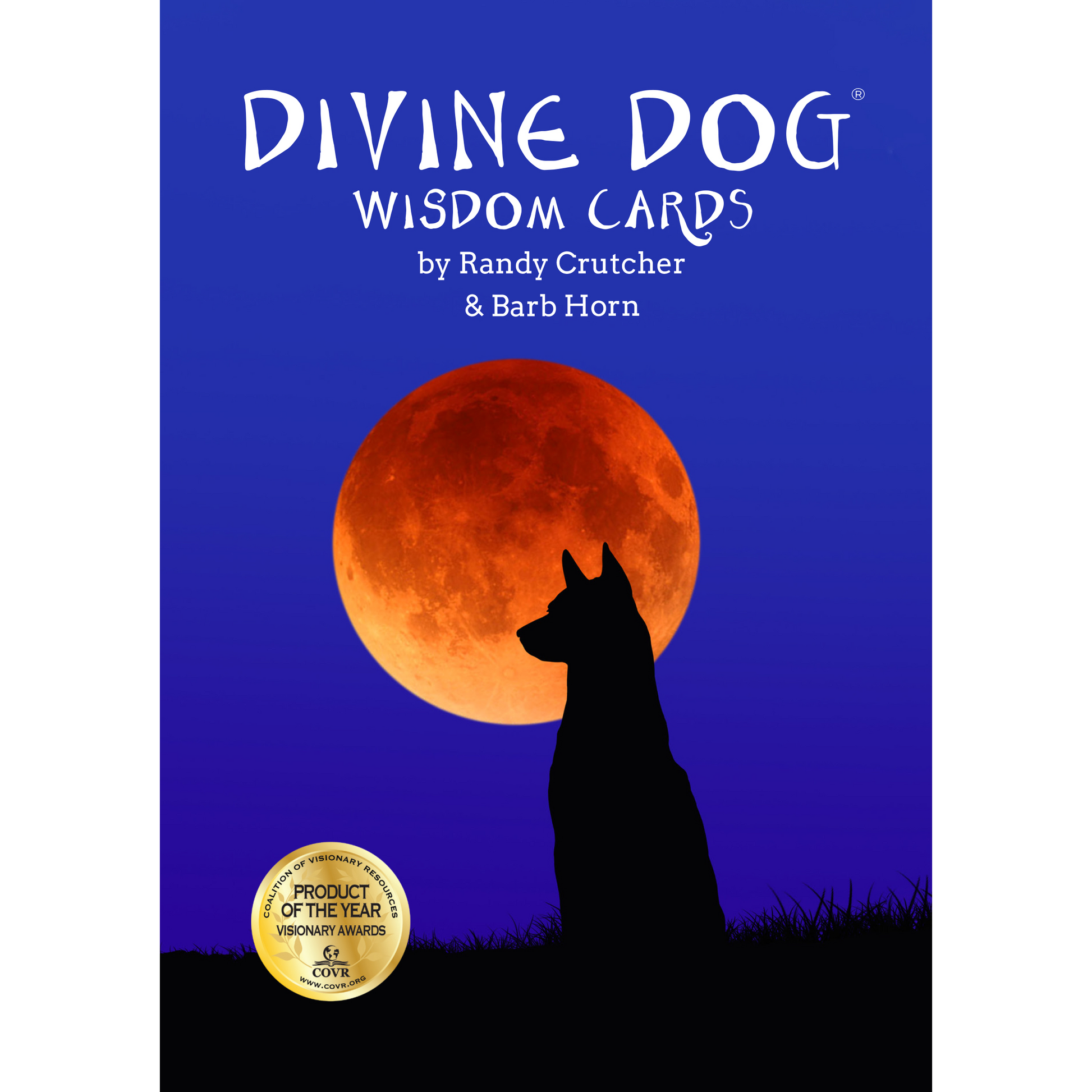 Book cover of 'Divine Dog Wisdom Cards' with a silhouette of a dog and a moon on a blue background.