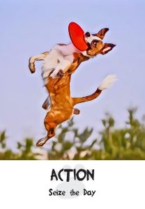 action card