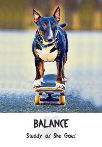 balance card
