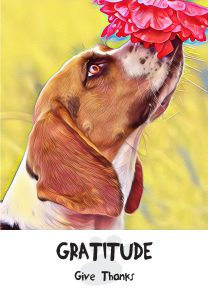 gratitude card