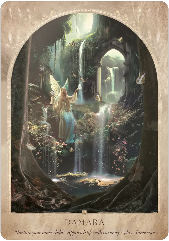 damara card