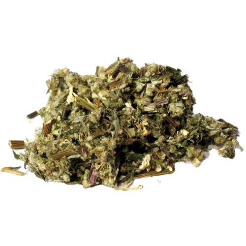 mugwort 1oz