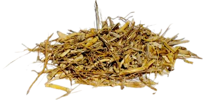 witches grass 1oz