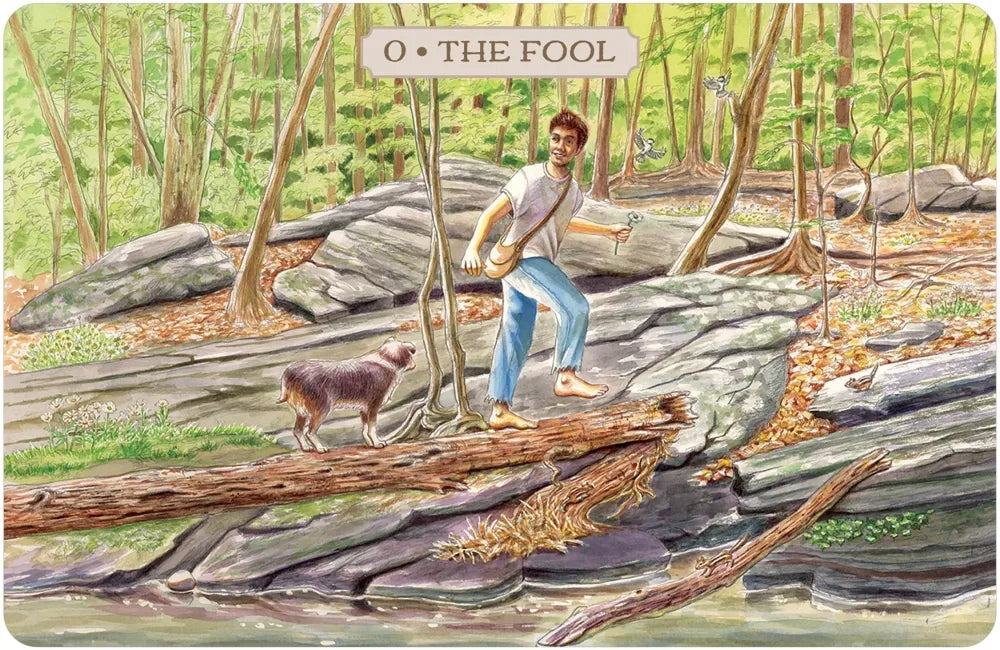 the fool card