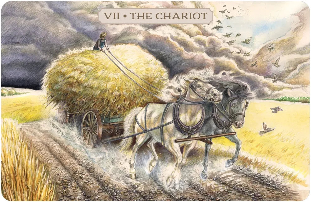 the chariot card