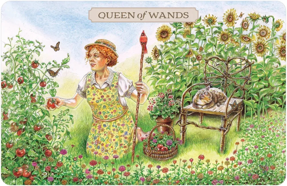 queen of wands card