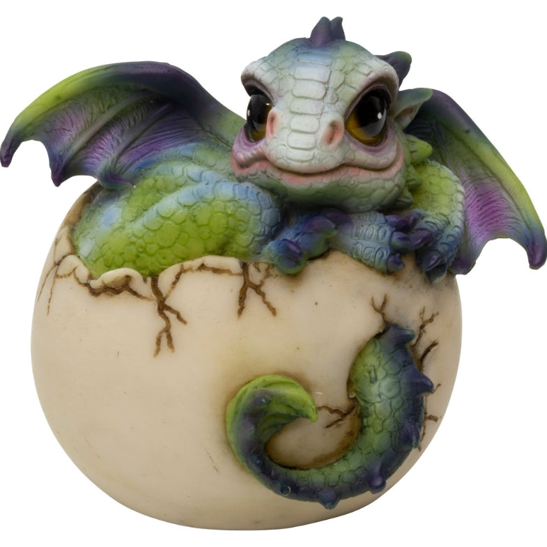 Polyresin Dragon Hatchling in Egg