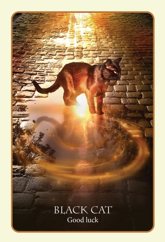 Divinations Of The Ancients