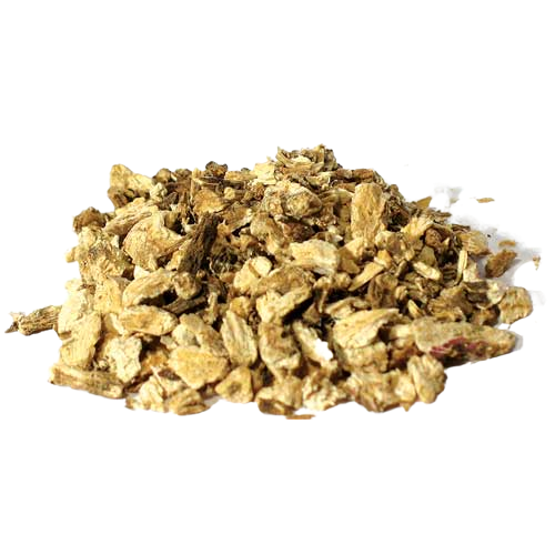 angelica root