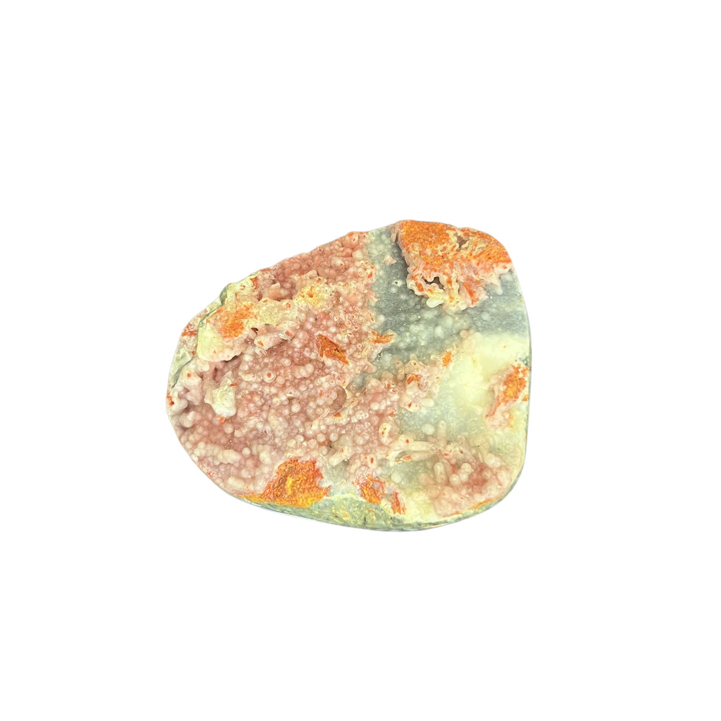 Bumblebee Jasper Freeform