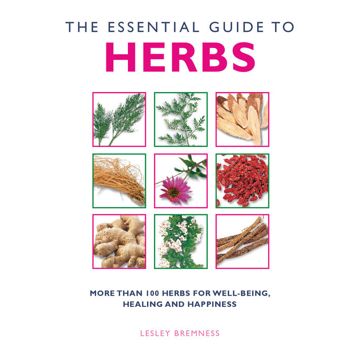 Essential Guide to Herbs