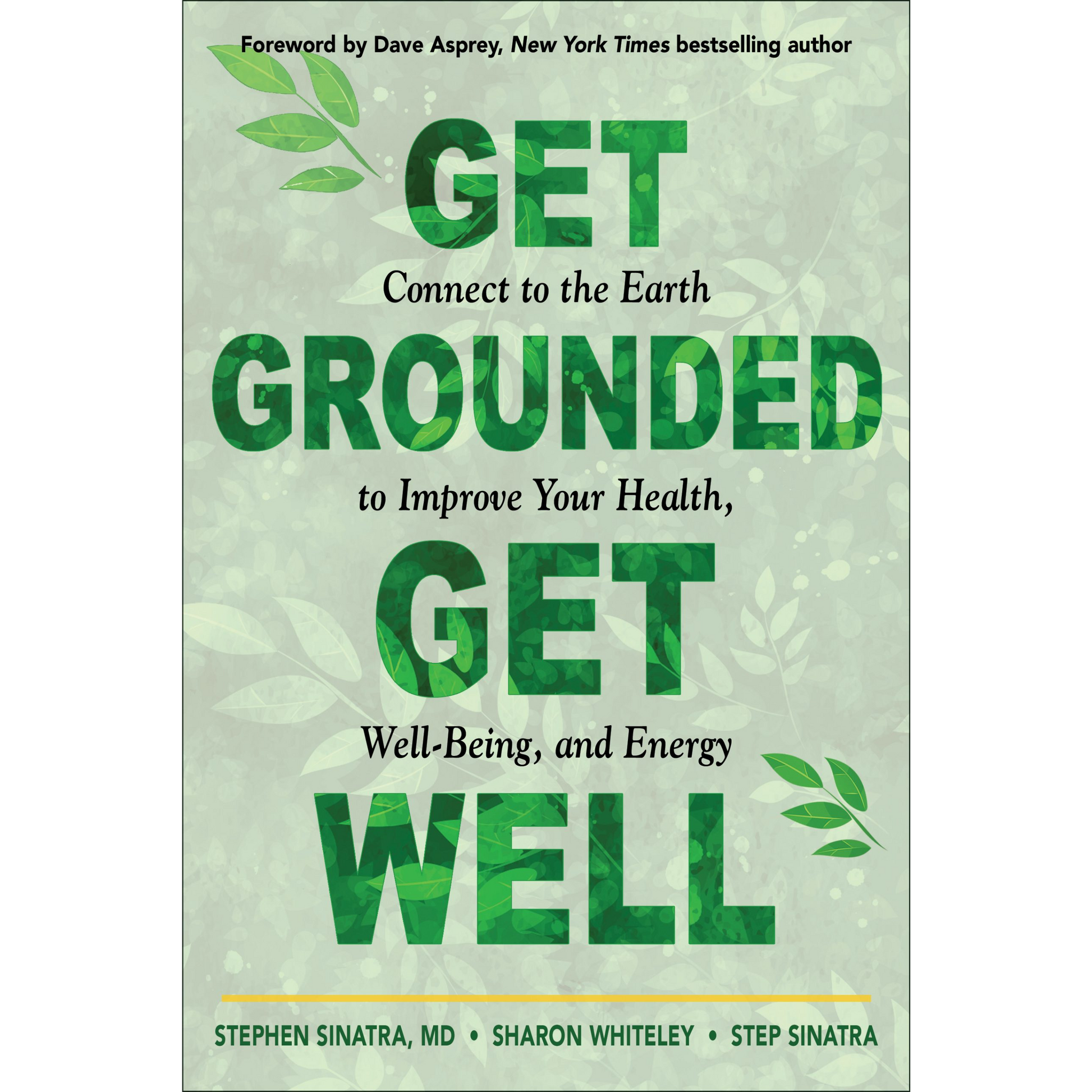 Get Grounded, Get Well