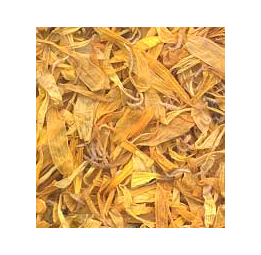 calendula
