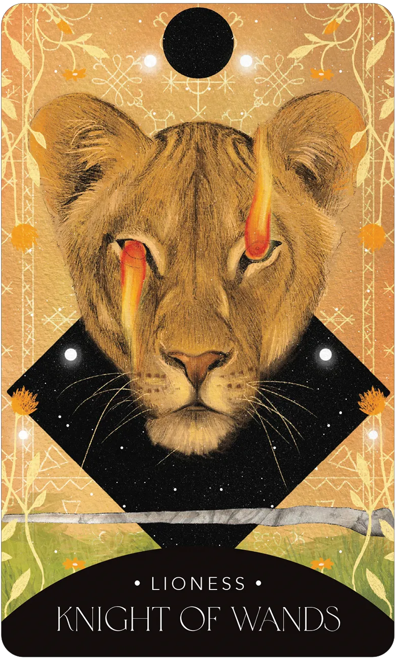 knight of wands card