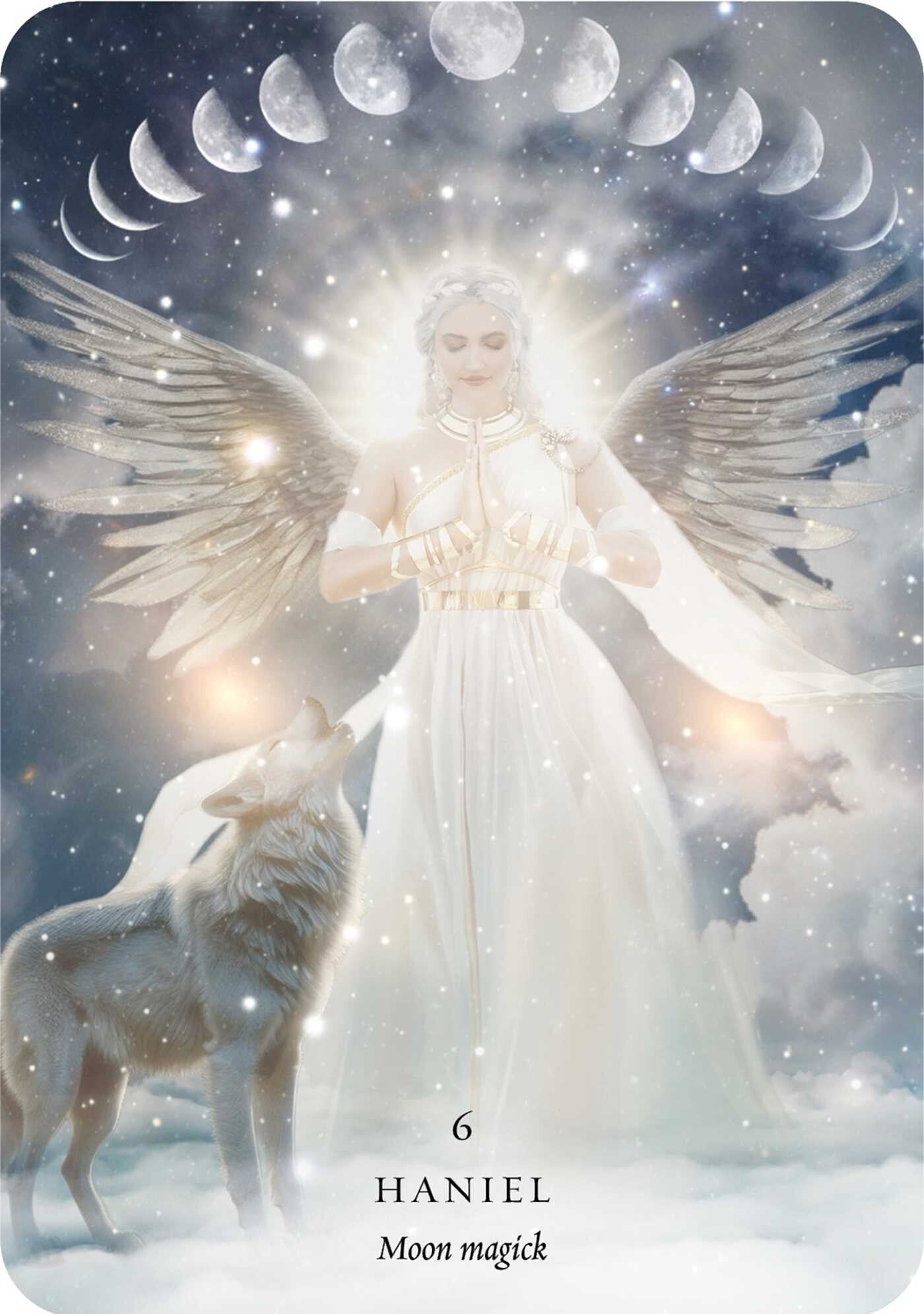 haniel card