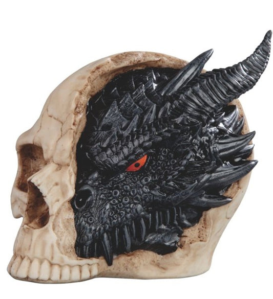 Dragon head in skull