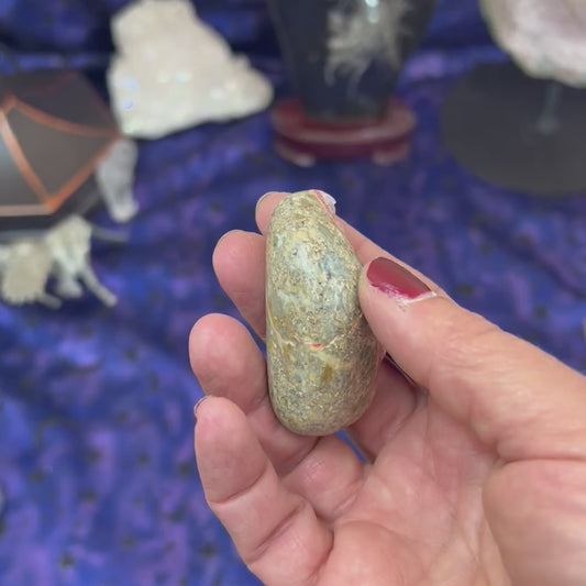 Bumblebee Jasper Freeform
