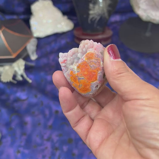 Bumblebee Jasper Freeform