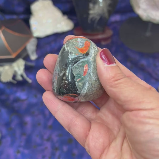Bumblebee Jasper Freeform