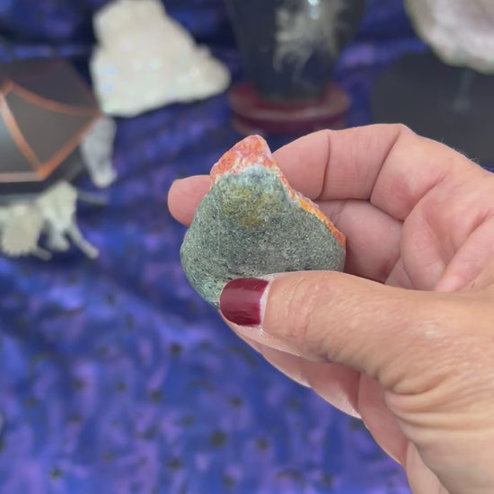 bumblebee jasper freeform