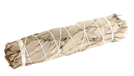 8" white sage