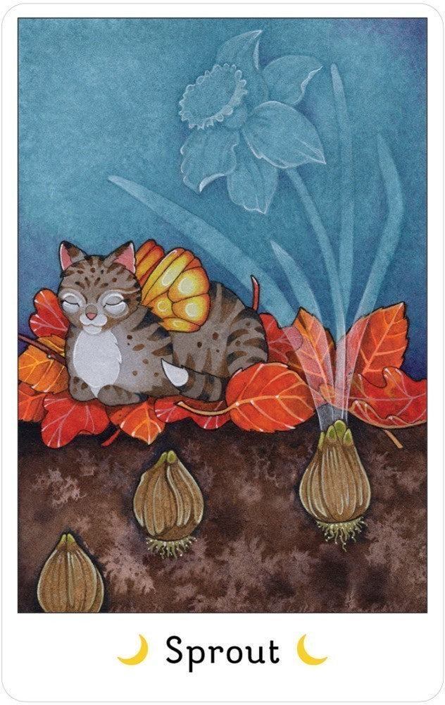 sprout card