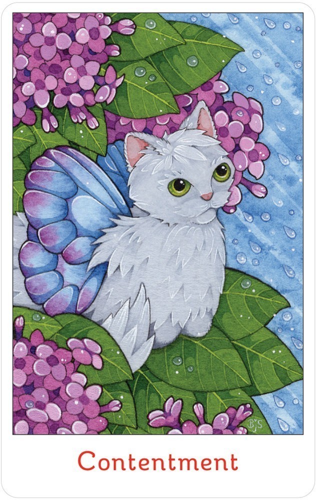 contentment card